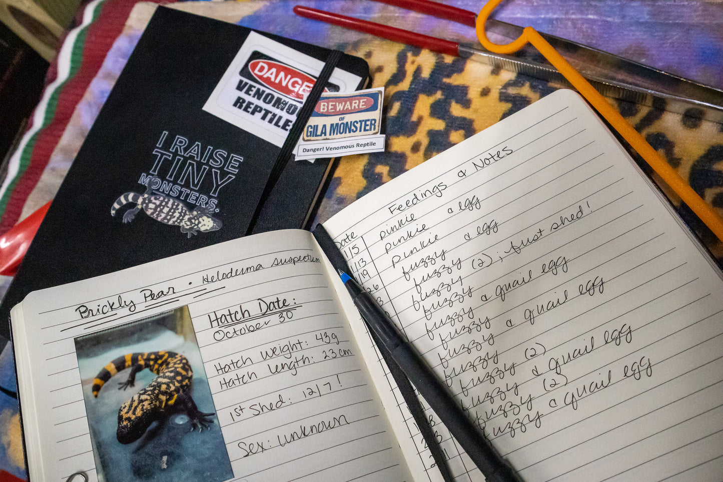 I Raise Tiny Monsters Notebook