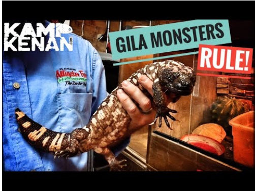 Load video: A tour of the Gila Den with Kamp Kenan.